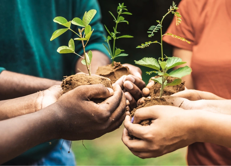 Sustainable Environment & Green Skills Initiative (DoE Partnership)